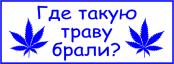 pic